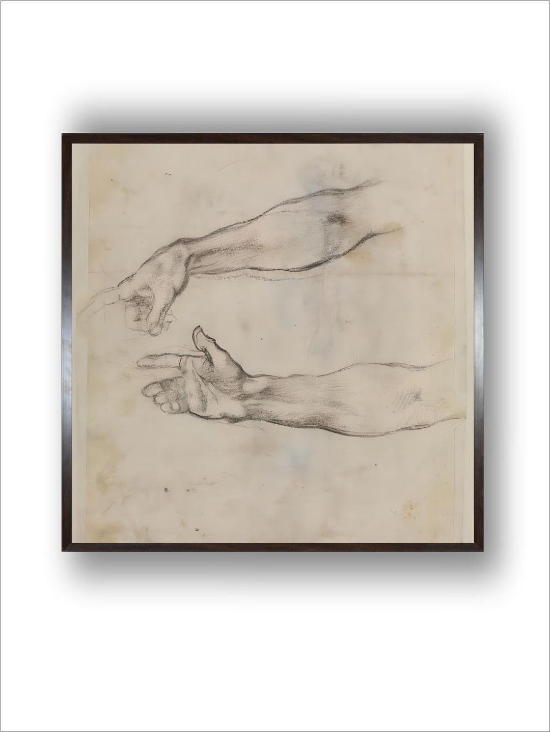Studies of an Outstretched Arm for the Fresco the drunkenness by Michelangelo Buonarroti