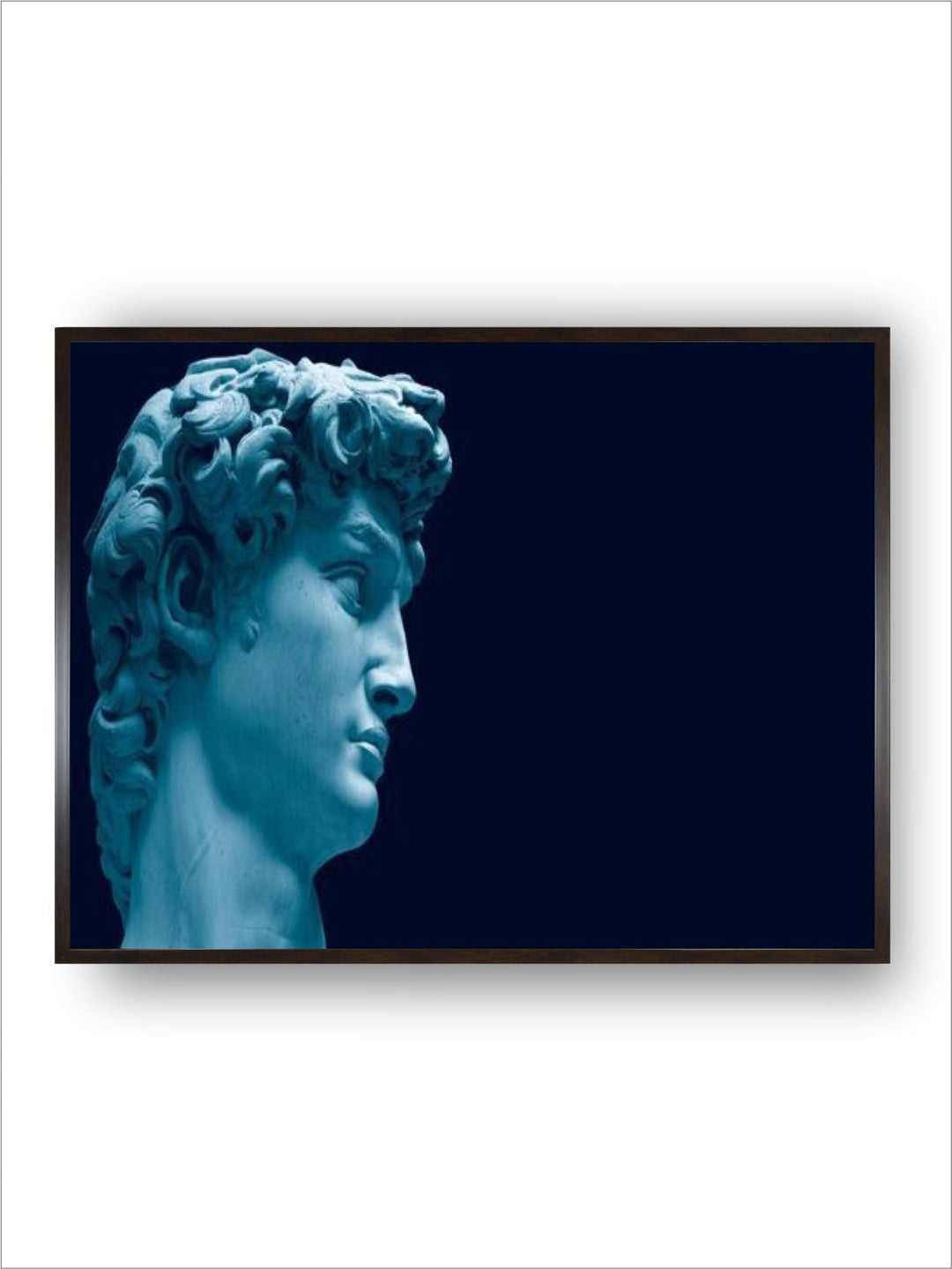 david by Michelangelo Buonarroti
