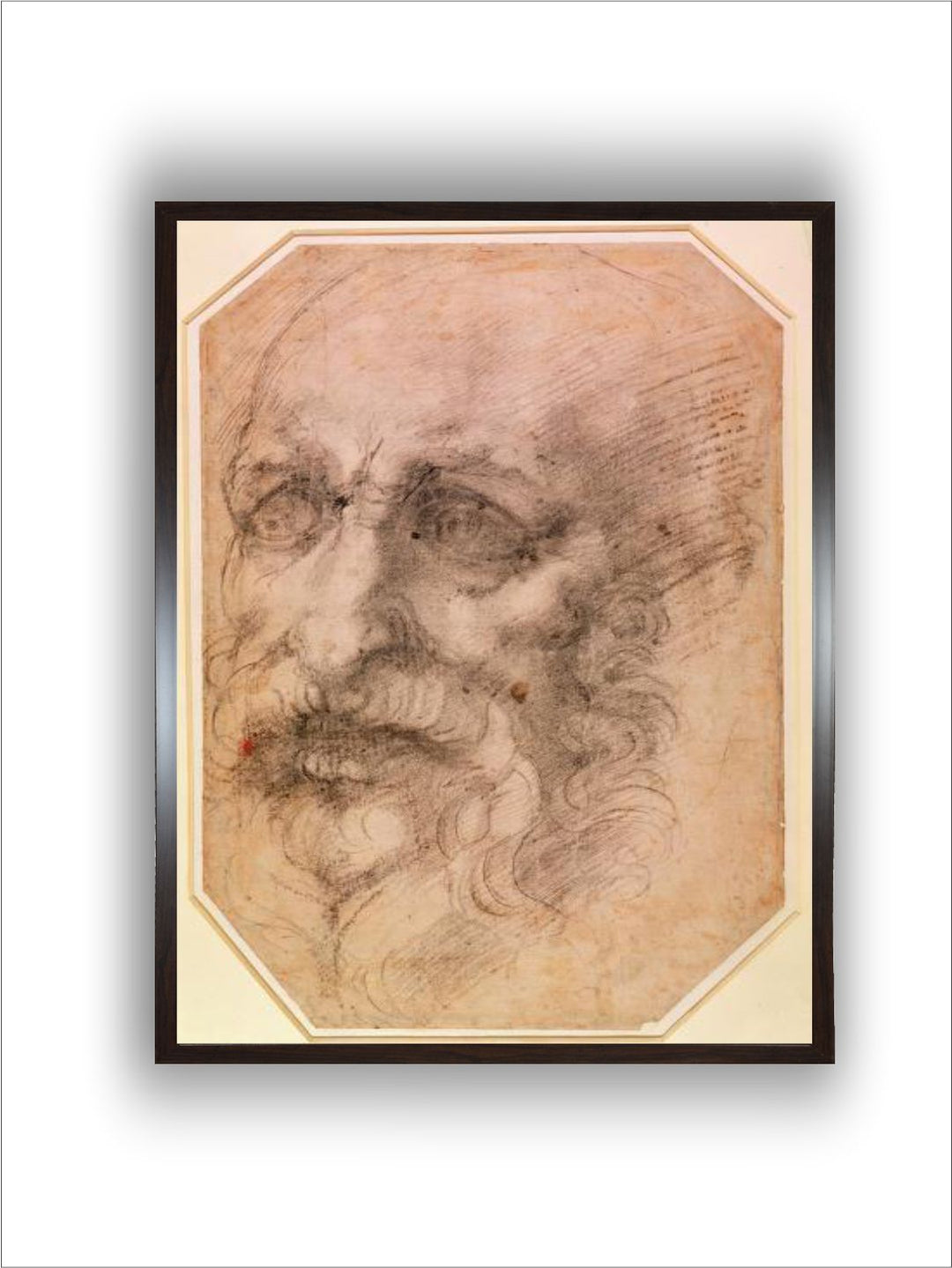 Portrait of a Bearded Man by Michelangelo Buonarroti