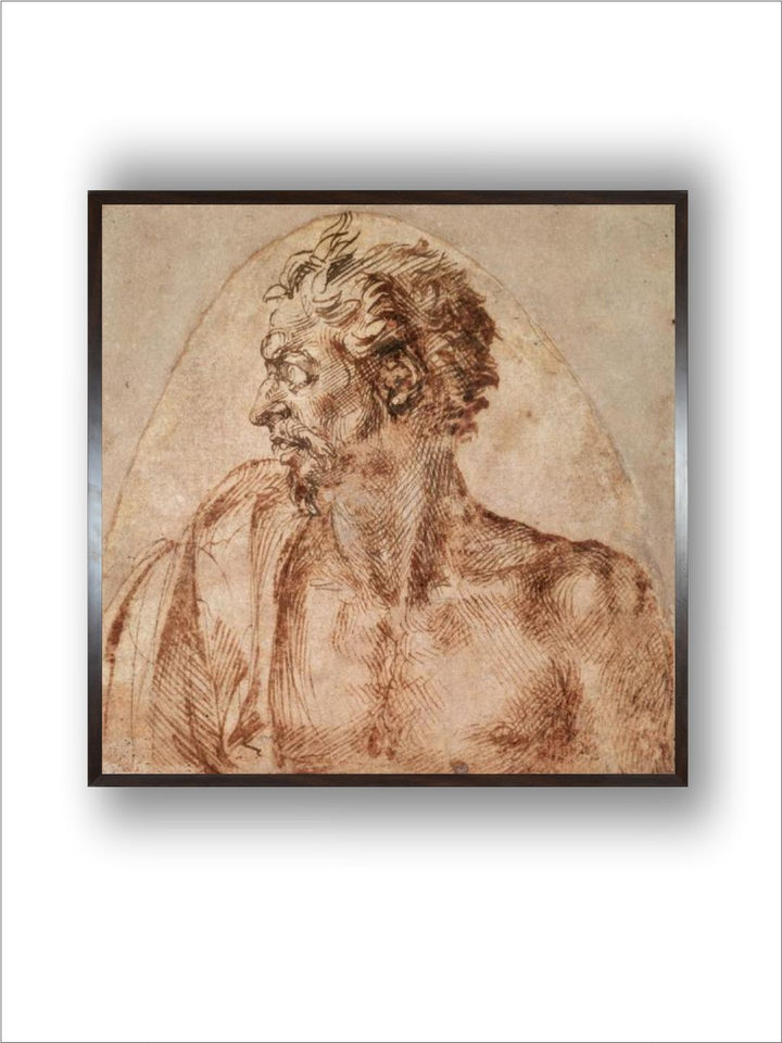 Study of Head and Shoulders by Michelangelo Buonarroti