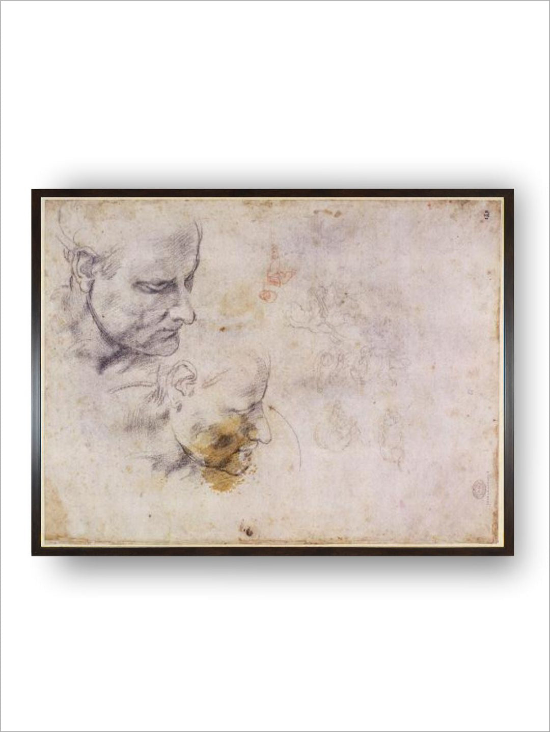 W.60 Sketch of a Male Head, in Two Positions by Michelangelo Buonarroti