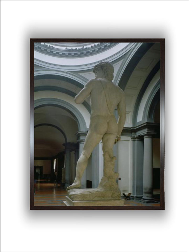 david, View from Behind, 1504 by Michelangelo Buonarroti