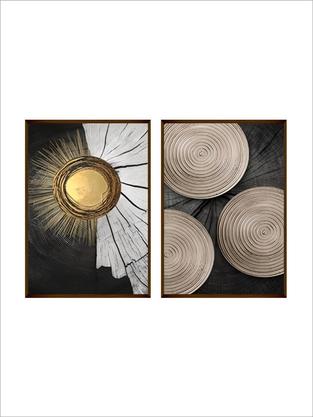 Sunburst Amidst Shadowed Retreat