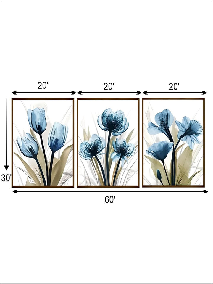 Serenity in Three Acts