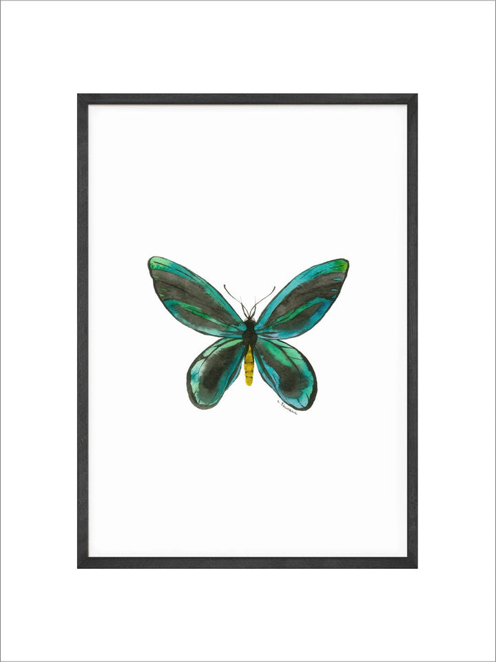 " White  Green Butterfly Painting Canvas Wall Art''