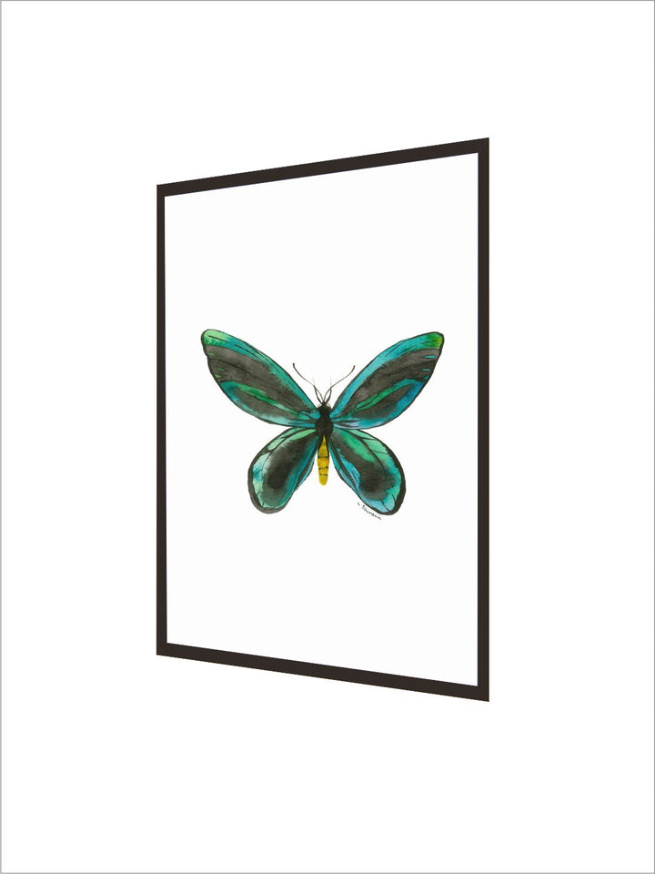 " White  Green Butterfly Painting Canvas Wall Art''