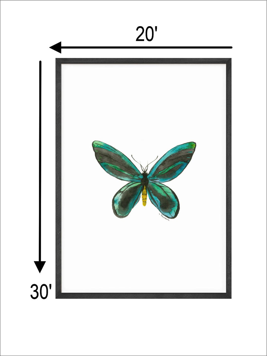 " White  Green Butterfly Painting Canvas Wall Art''