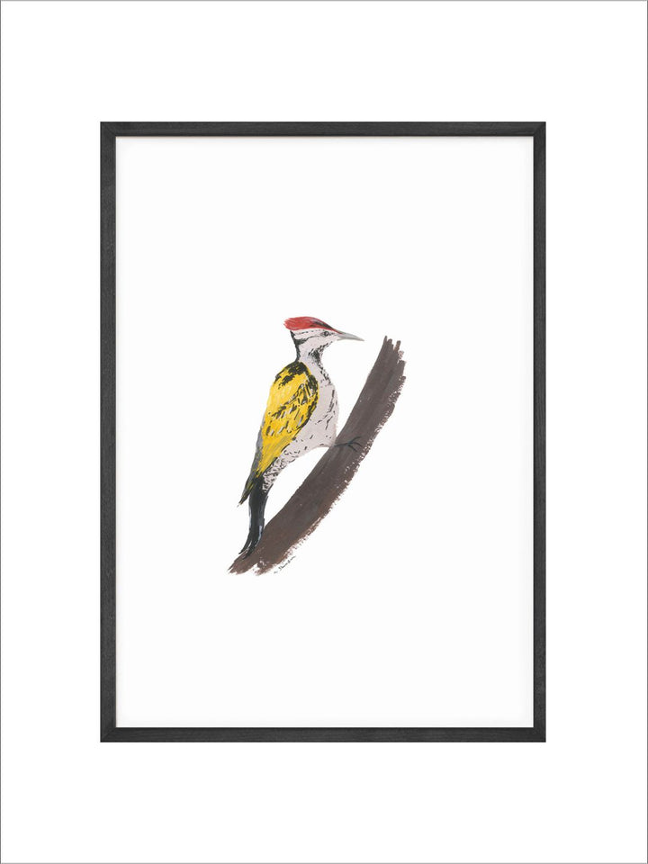" Woodpecker Bird Printed Wall Art"