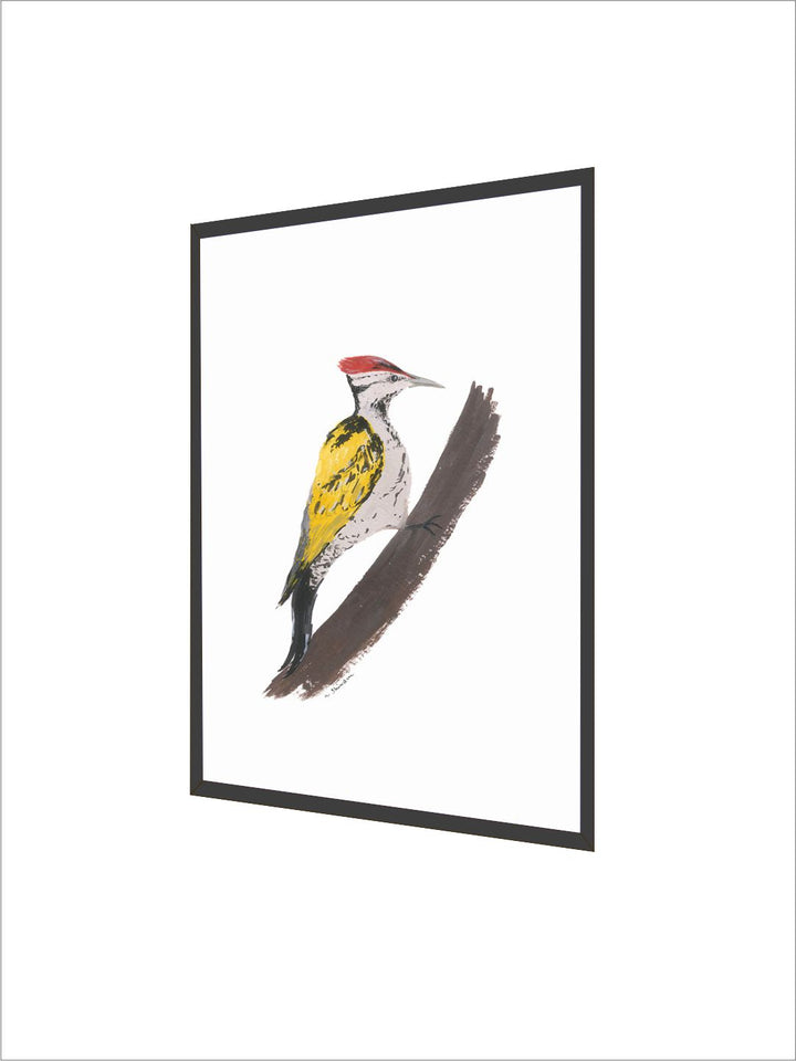 " Woodpecker Bird Printed Wall Art"