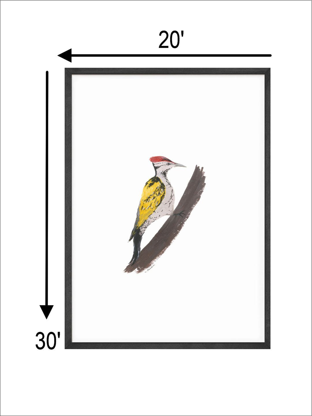 " Woodpecker Bird Printed Wall Art"