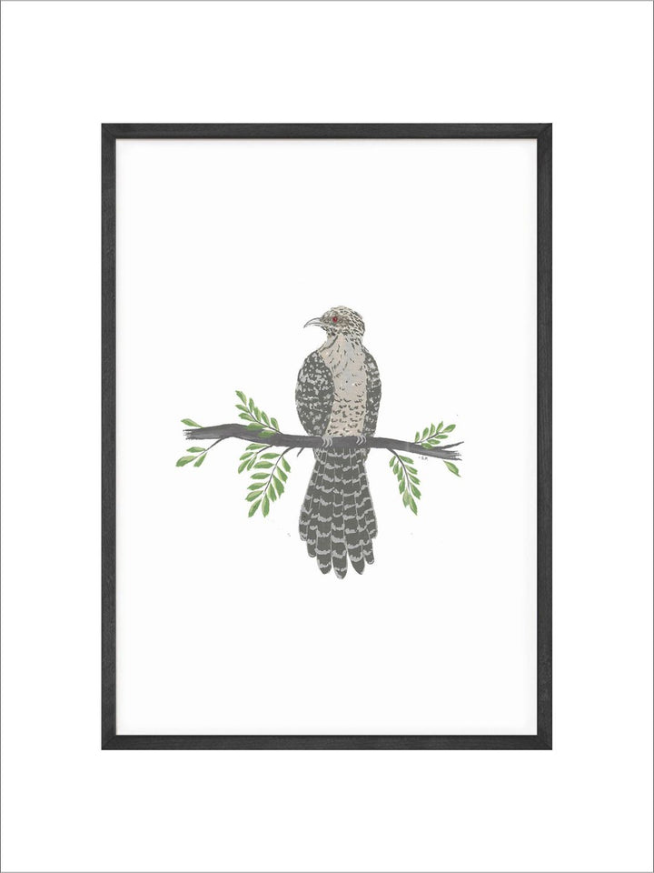 "Cuckoo Bird Printed Framed Wall Art''