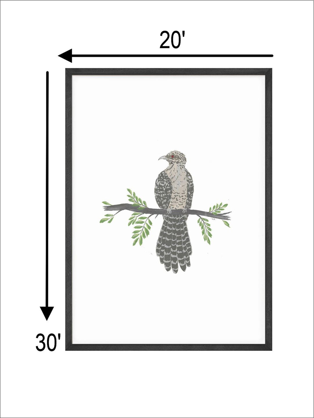 "Cuckoo Bird Printed Framed Wall Art''