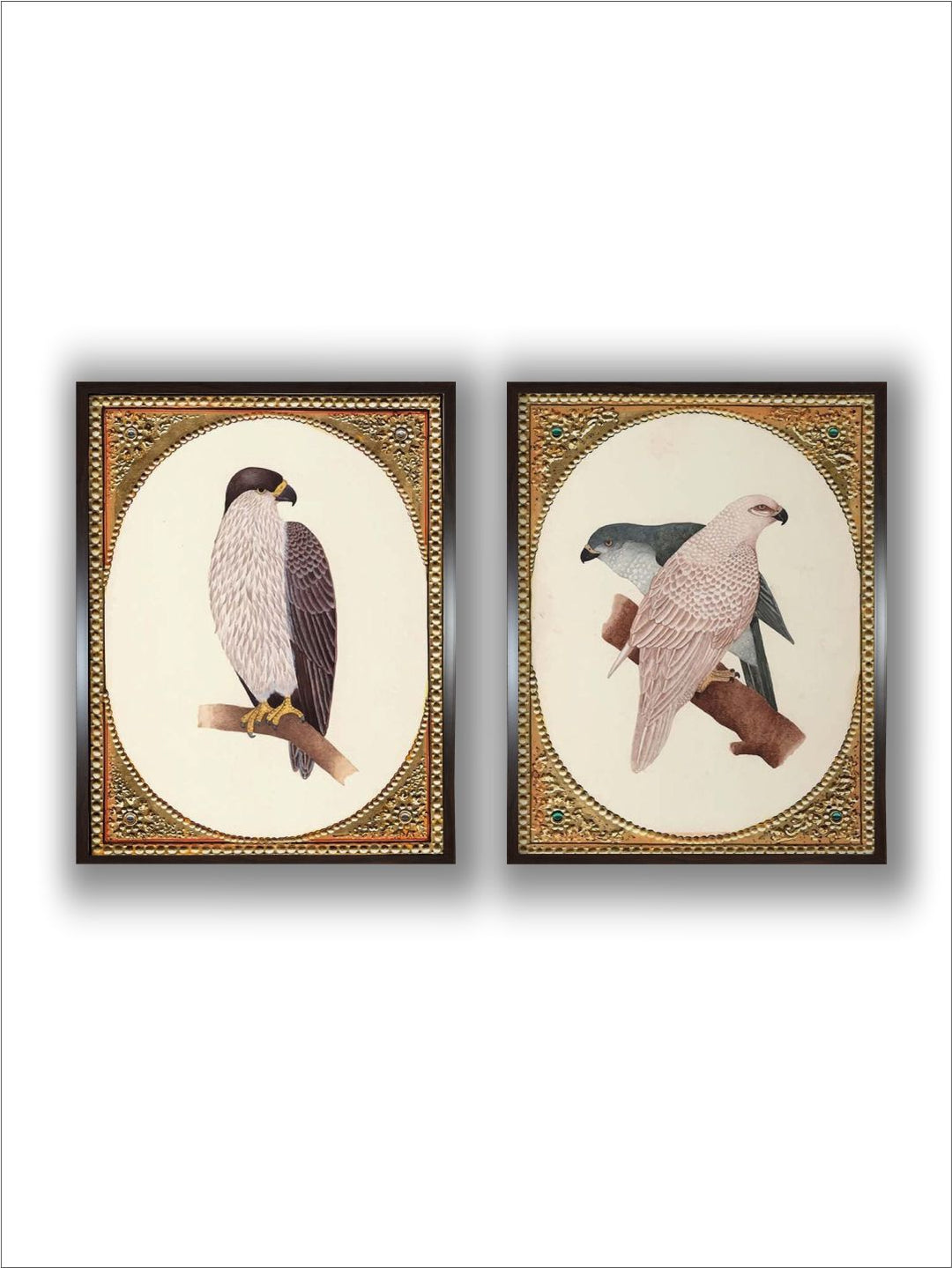 "2 Pieces Vintage Birds Painted Framed Wall Art''