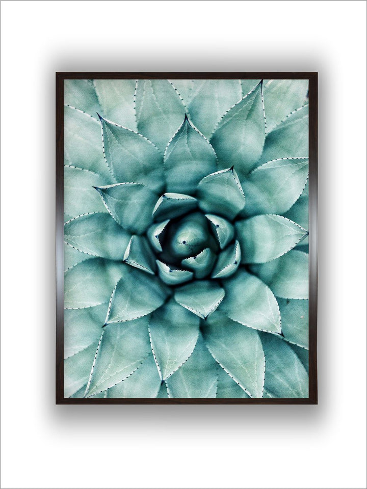 "Succulent Botanical Printed Framed Wall Art''