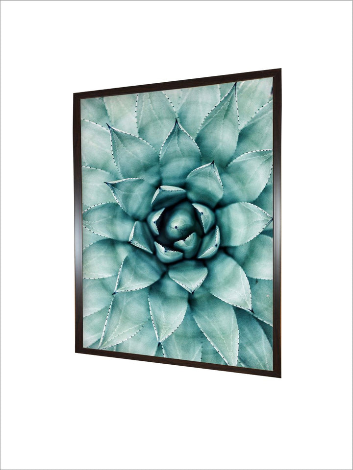 "Succulent Botanical Printed Framed Wall Art''