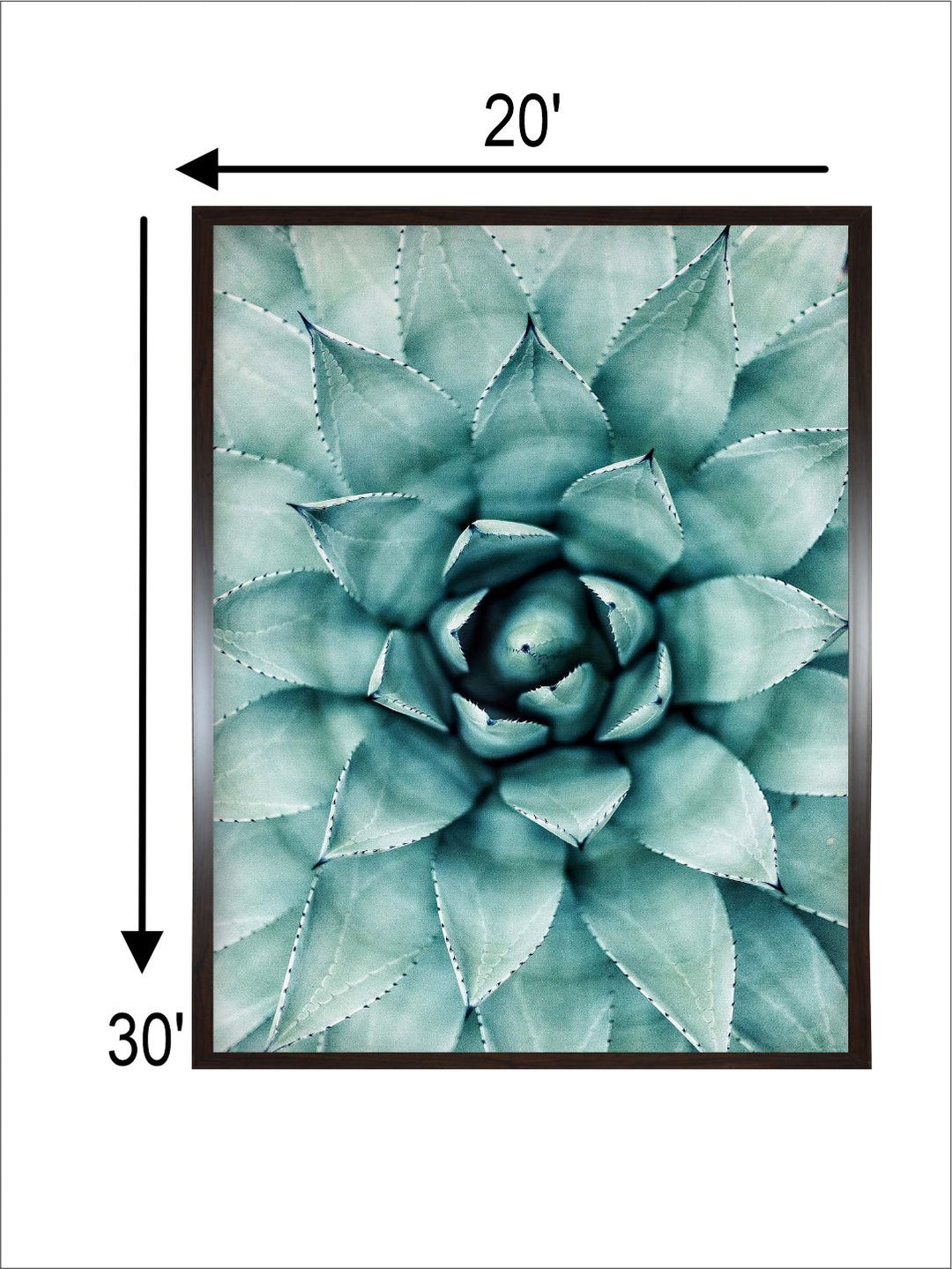 "Succulent Botanical Printed Framed Wall Art''