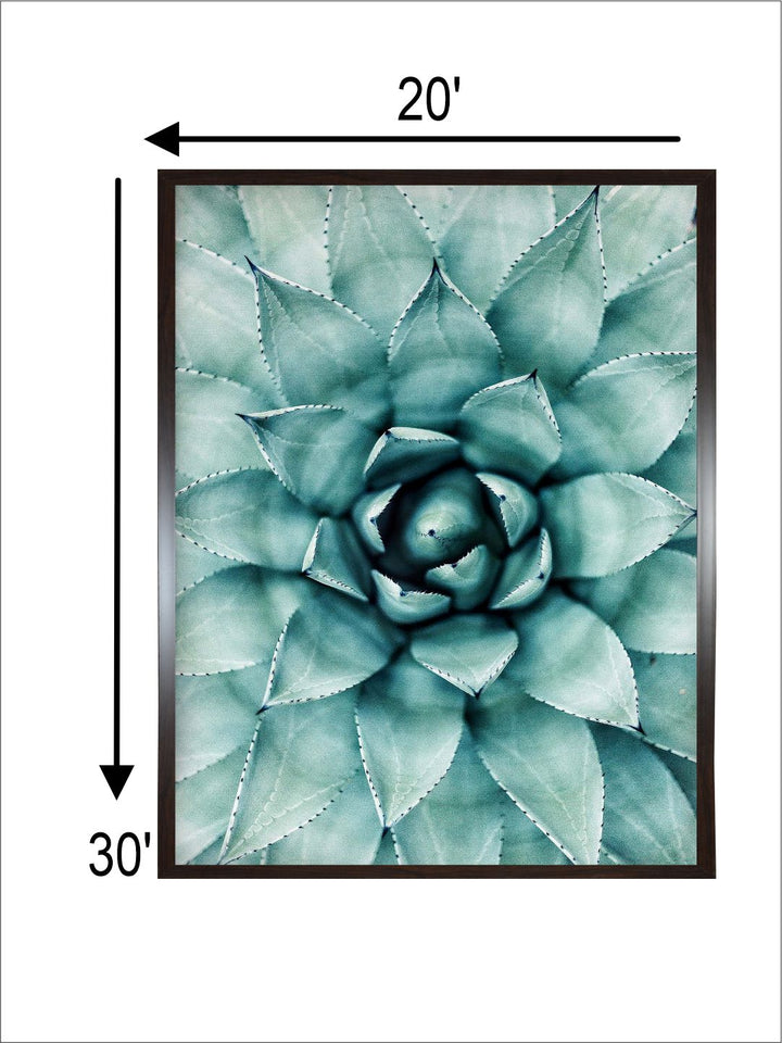 "Succulent Botanical Printed Framed Wall Art''