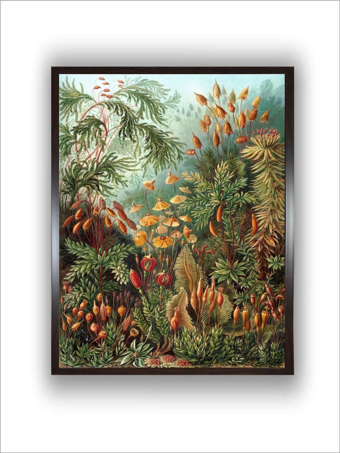 "Nature Wall Art''