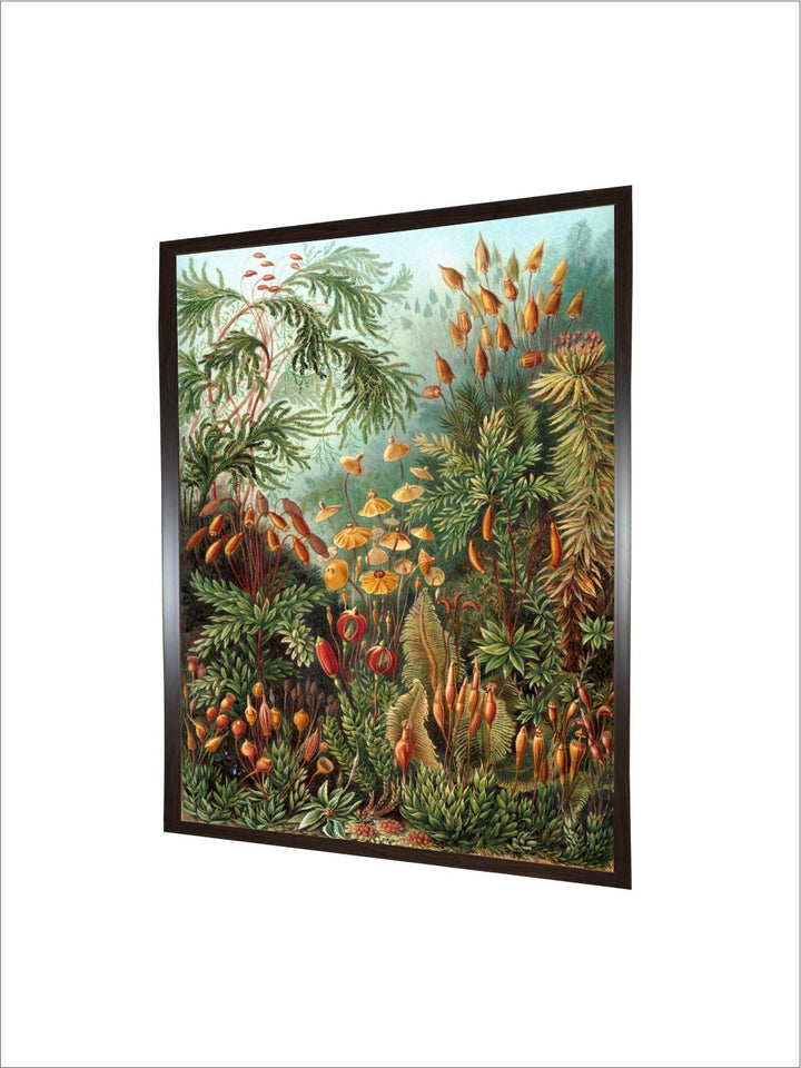 "Nature Wall Art''