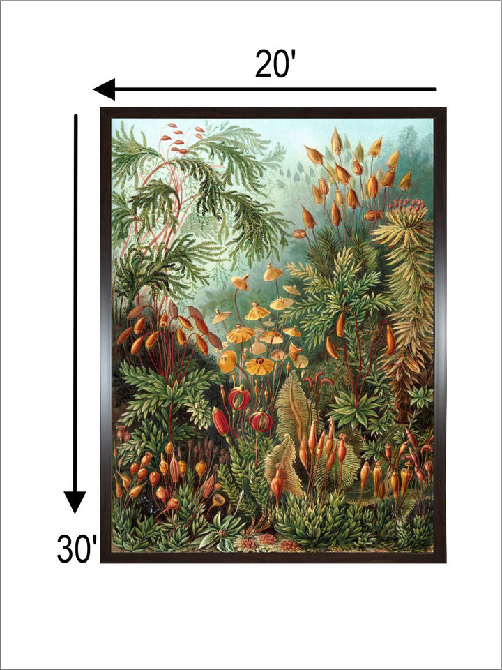 "Nature Wall Art''