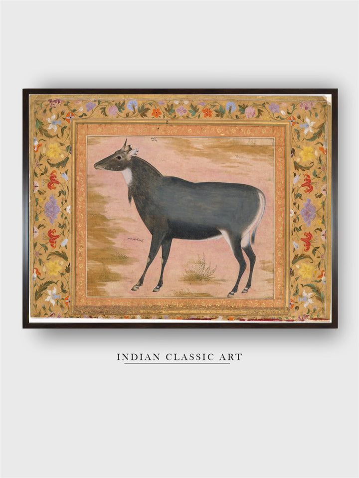 Study of a Nilgai (Blue Bull) , Folio from the Shah Jahan Album MET DT4808