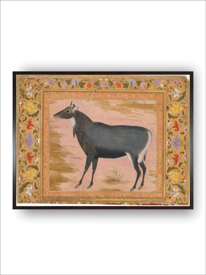 Study of a Nilgai (Blue Bull) , Folio from the Shah Jahan Album MET DT4808