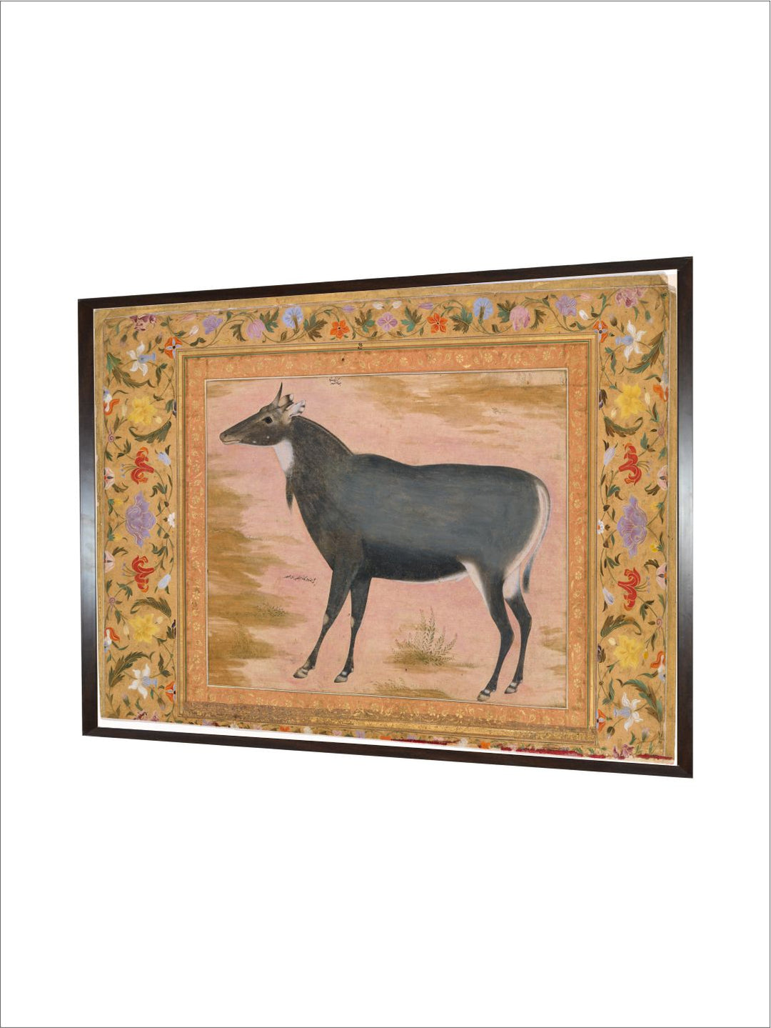 Study of a Nilgai (Blue Bull) , Folio from the Shah Jahan Album MET DT4808