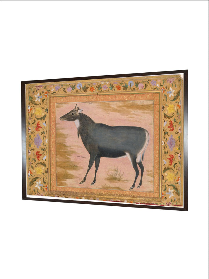 Study of a Nilgai (Blue Bull) , Folio from the Shah Jahan Album MET DT4808