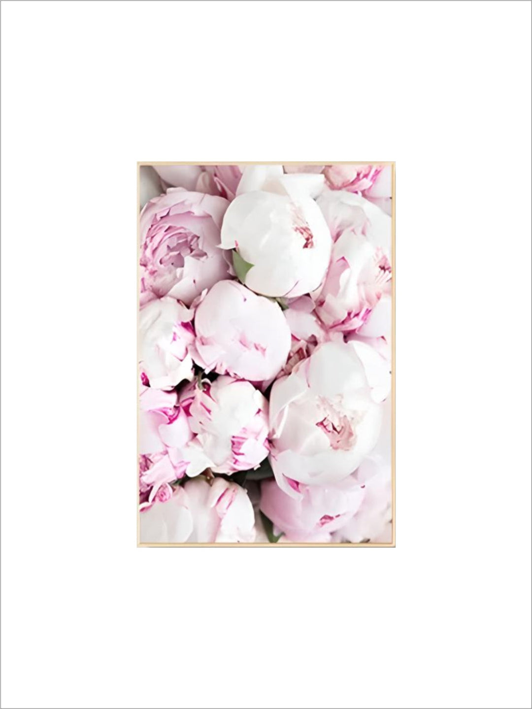 Minimalist Floral Pink & White Peonies Wall Art Fine Art Canvas Prints Pictures For Modern Living Room Bedroom Art Decor