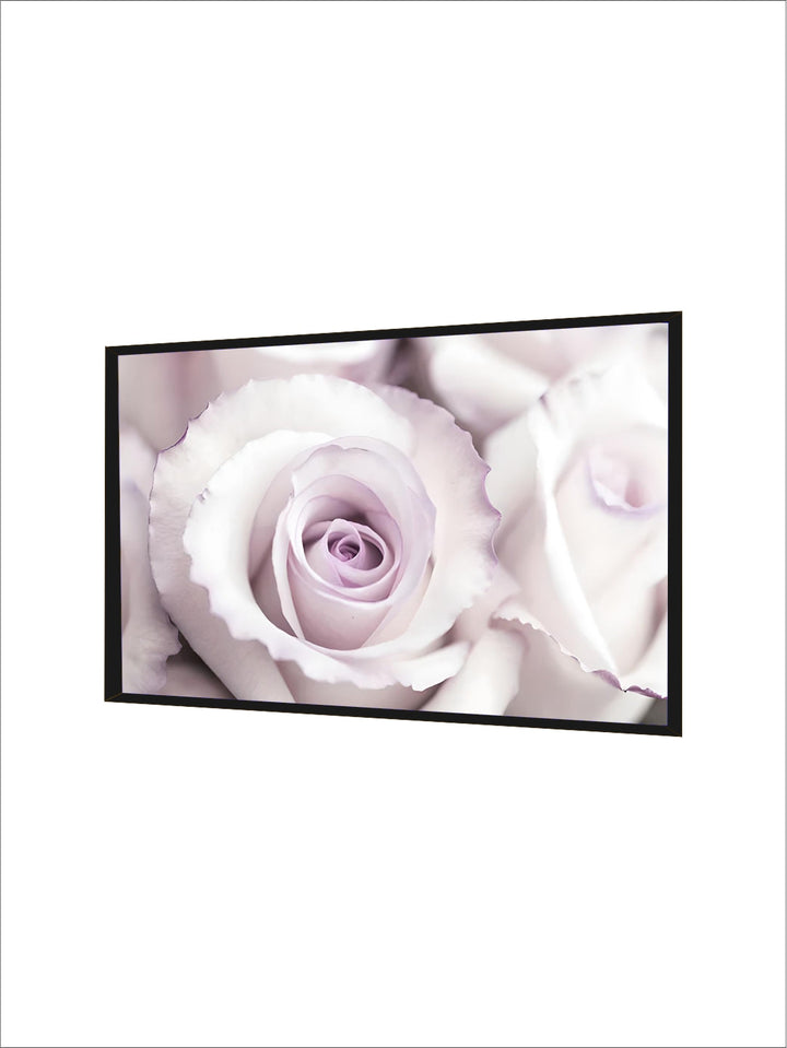 Pink Angel Wings Ballet Dancer Wall Art Fine Art Canvas Prints Black White Fashion Pictures For Living Room Bedroom Salon Art Decor
