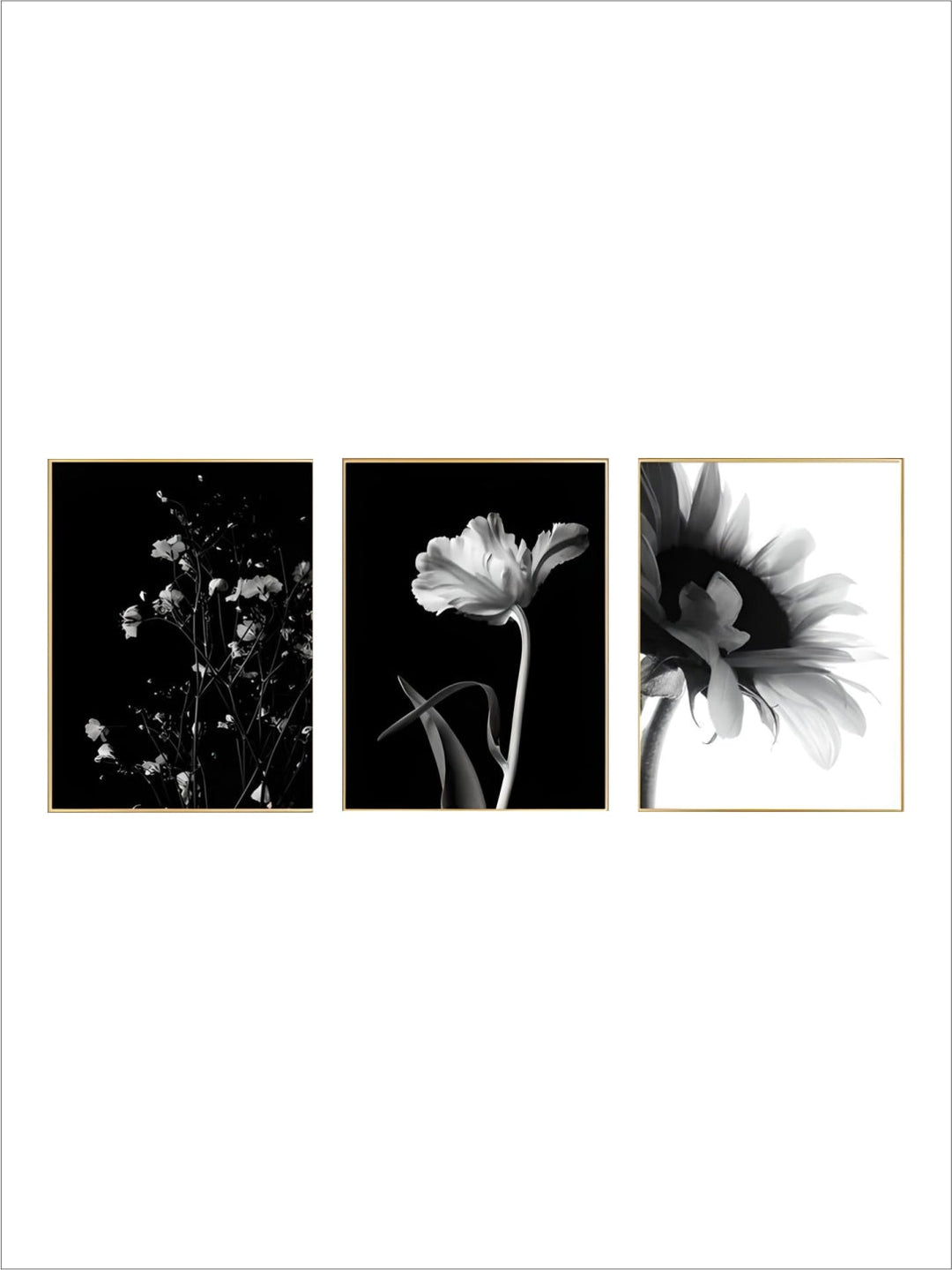 Modern Lifestyle Floral Wall Art Minimalist Black White Posters Fine Art Canvas Prints Pictures For Living Room Decor