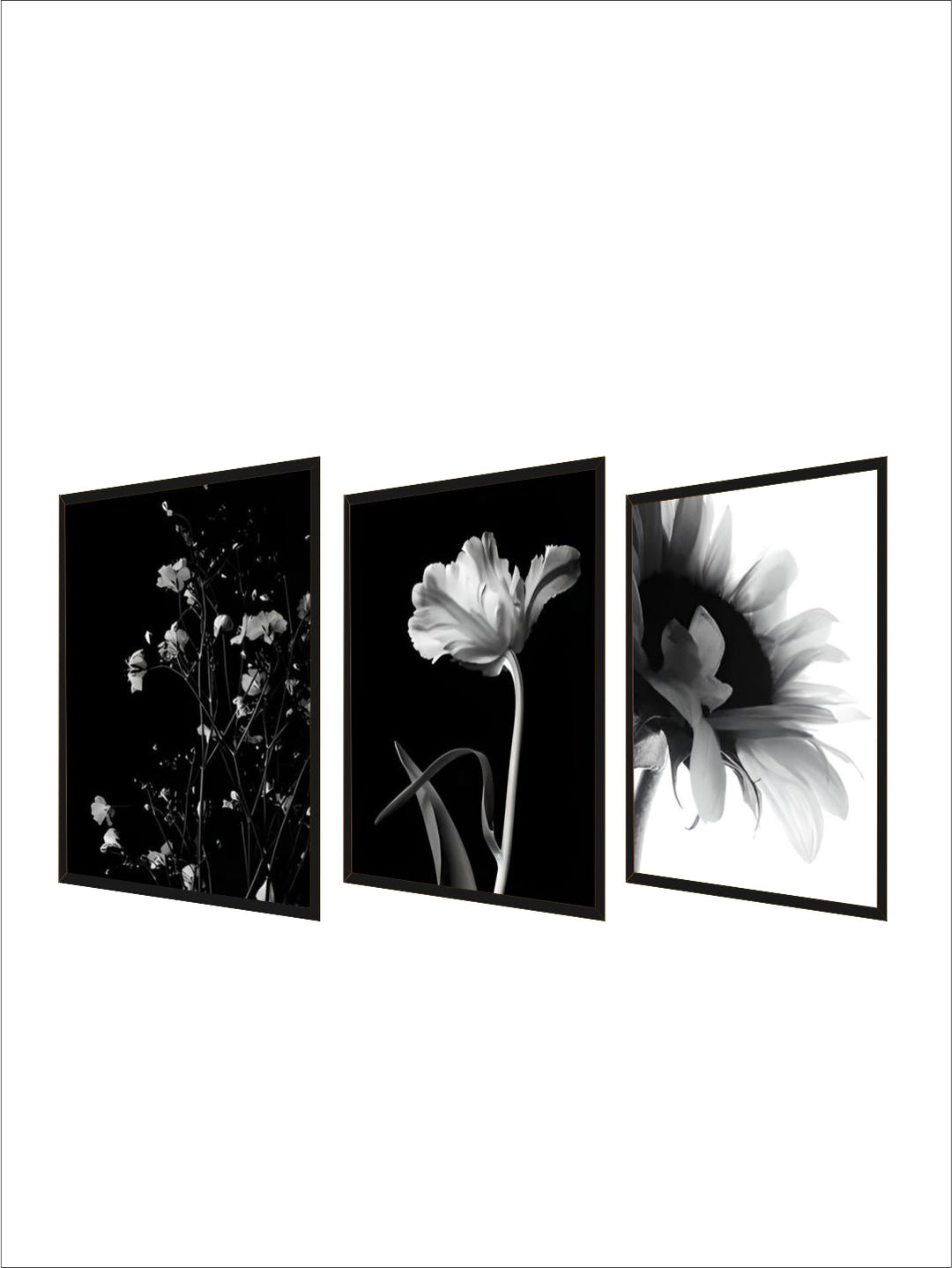 Modern Lifestyle Floral Wall Art Minimalist Black White Posters Fine Art Canvas Prints Pictures For Living Room Decor