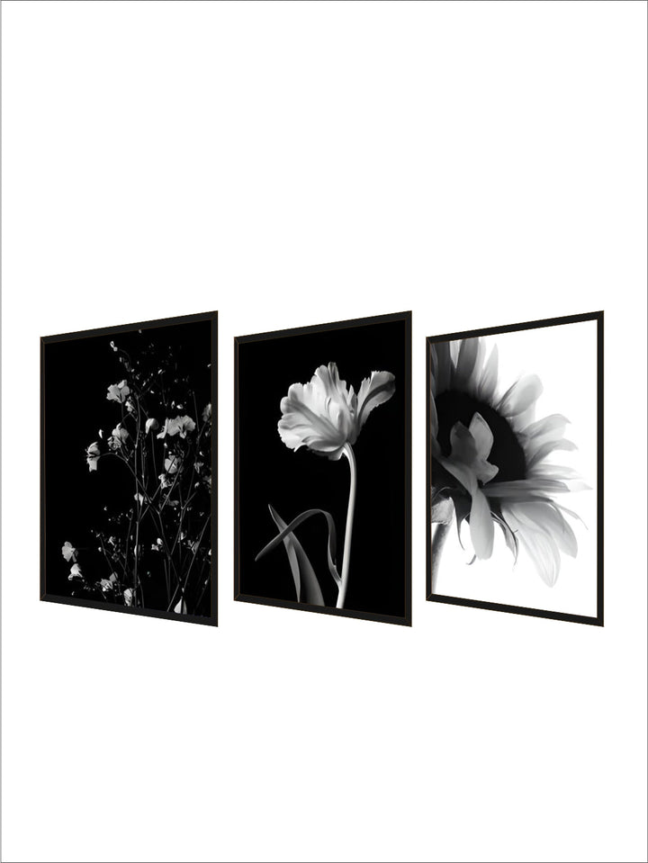 Modern Lifestyle Floral Wall Art Minimalist Black White Posters Fine Art Canvas Prints Pictures For Living Room Decor