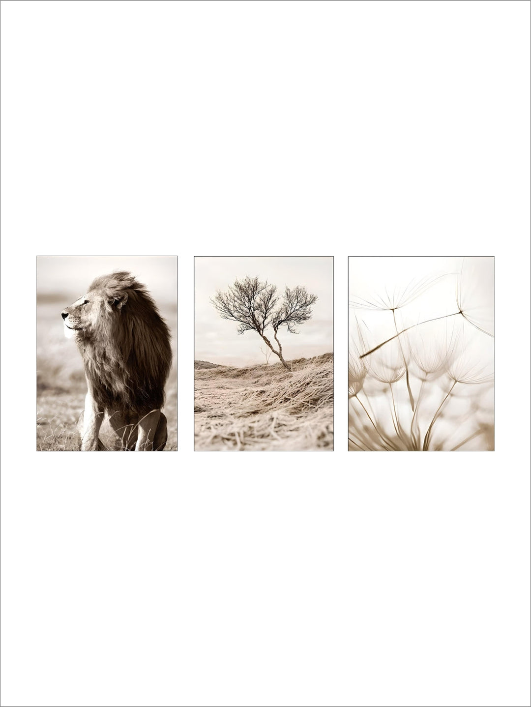 Dandelion Beach Sunset Simple Landscape Wall Art Fine Art Canvas Prints Lifestyle Pictures Of Nature For Living Room Bedroom Decor