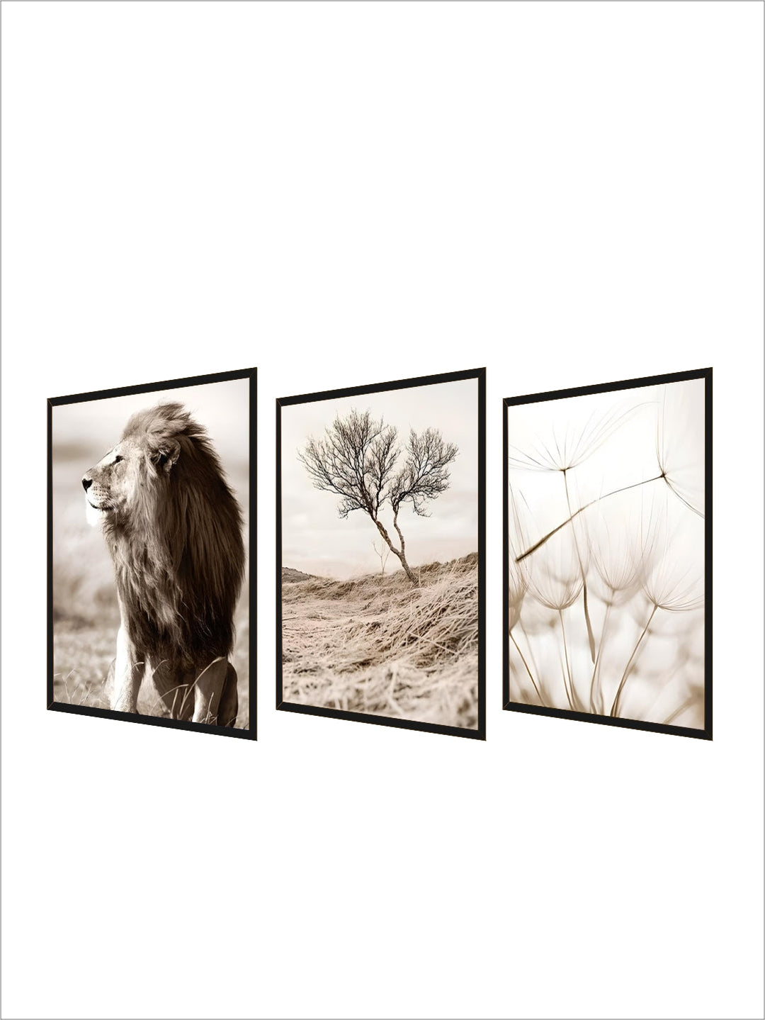 Dandelion Beach Sunset Simple Landscape Wall Art Fine Art Canvas Prints Lifestyle Pictures Of Nature For Living Room Bedroom Decor