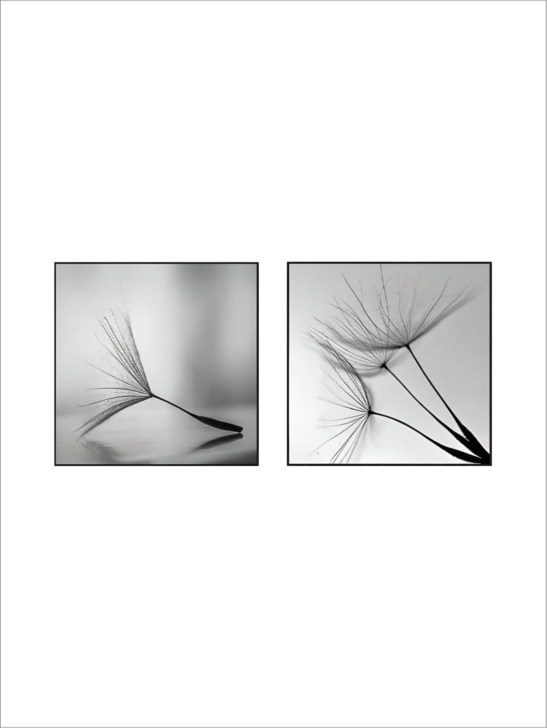 Delicate Dandelion Minimalist Black White Wall Art Fine Art Canvas Prints Square Format Pictures For Simple Living Room Bedroom Art Decor