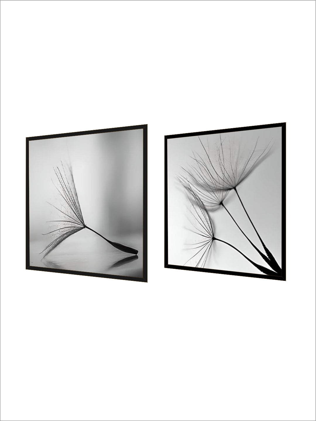 Delicate Dandelion Minimalist Black White Wall Art Fine Art Canvas Prints Square Format Pictures For Simple Living Room Bedroom Art Decor