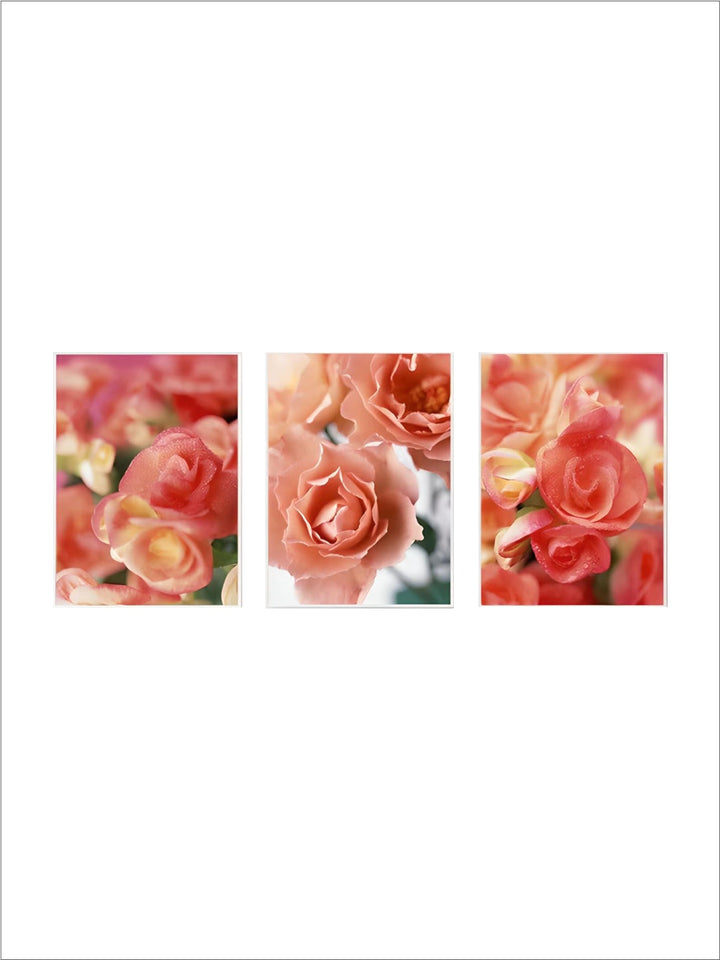 Pink Red Roses Floral Wall Art Fine Art Canvas Prints Modern Botanical Posters Pictures For Living Room, Bedroom Art Decor
