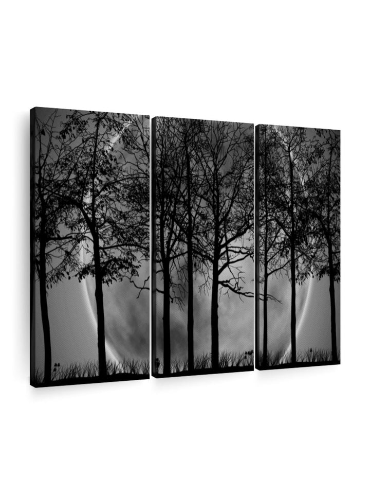 Gallery Set