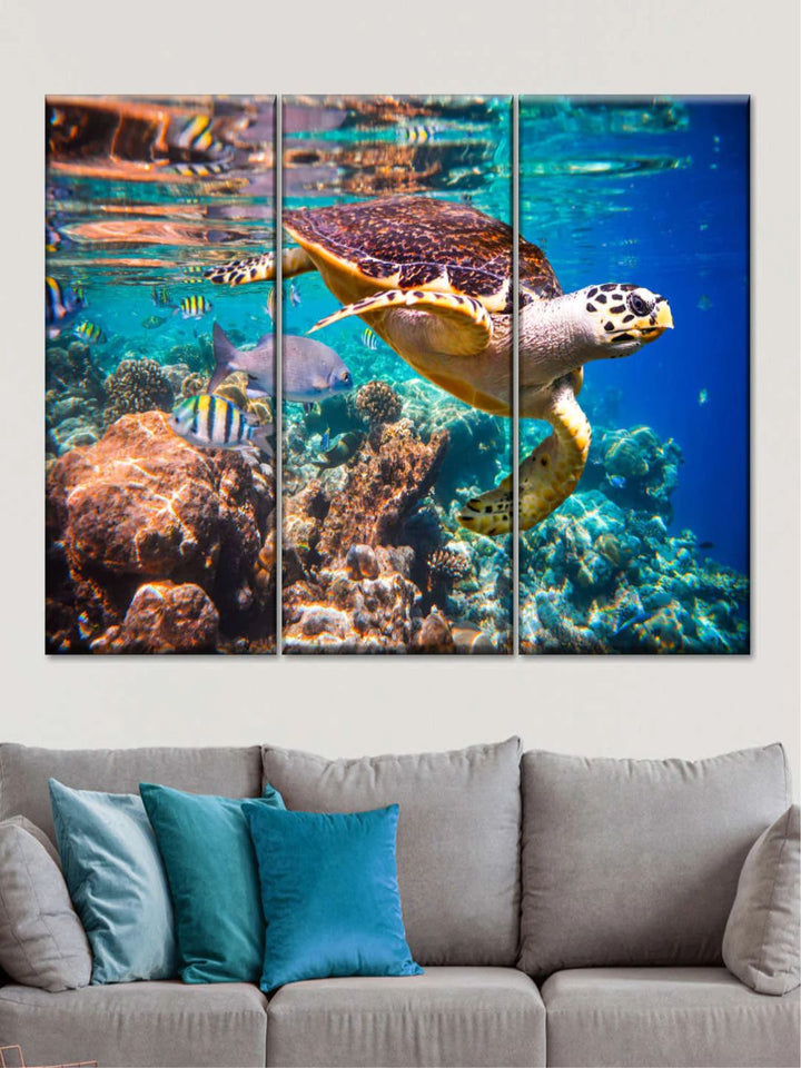 Gallery Set