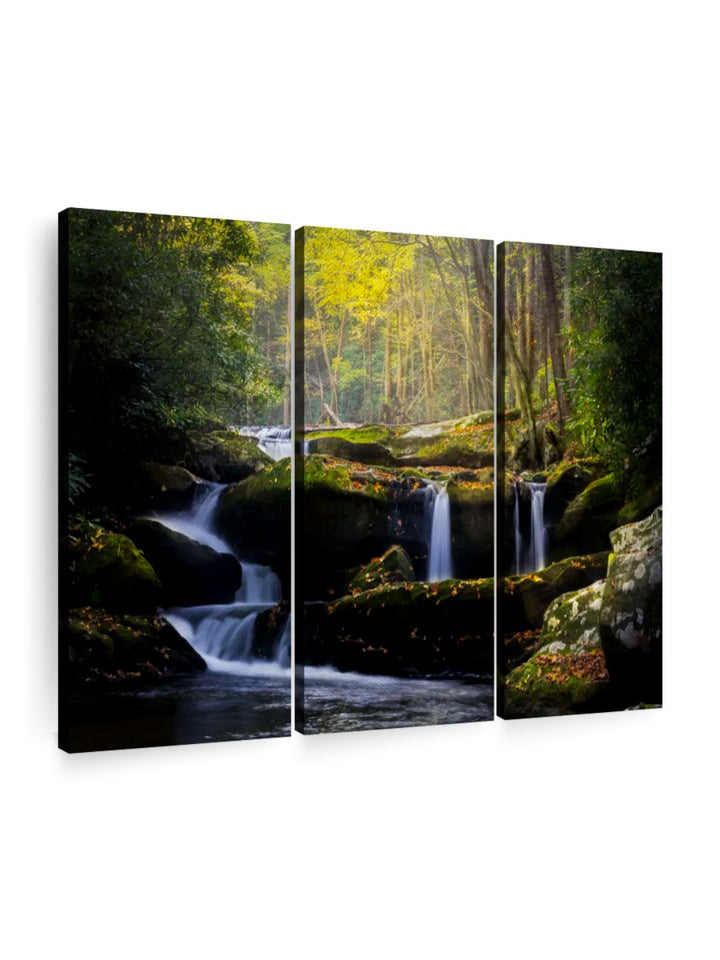 Gallery Set