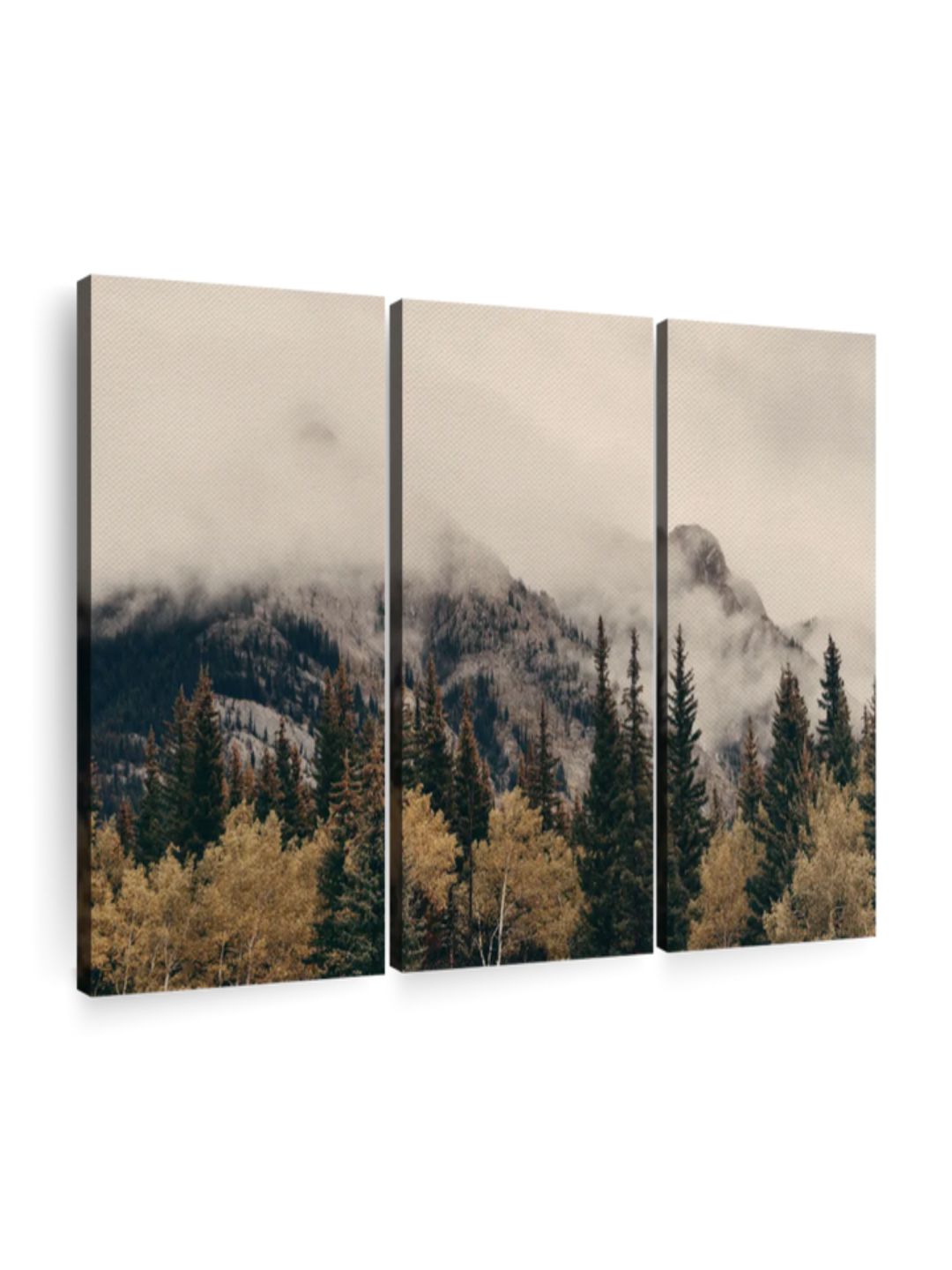 Gallery Set