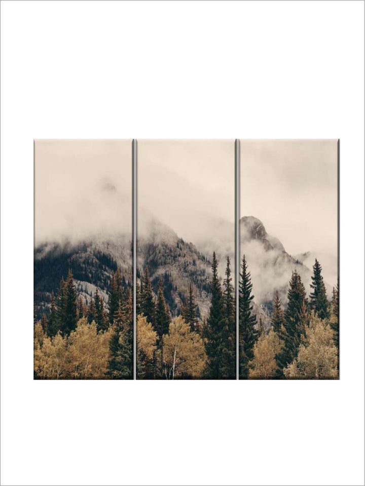 Gallery Set