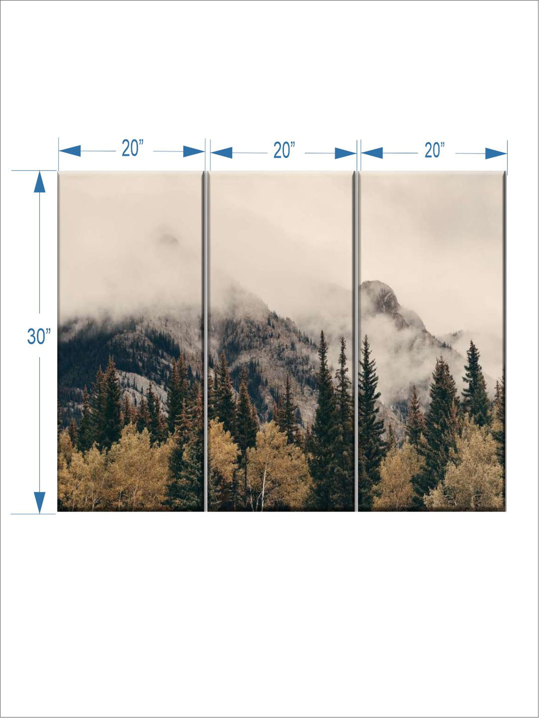 Gallery Set