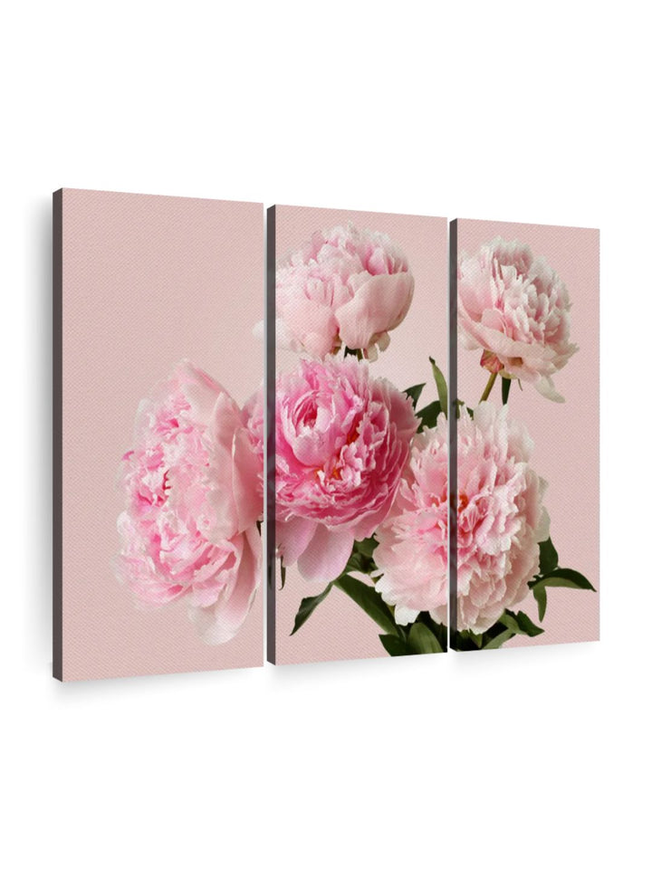 Gallery Set