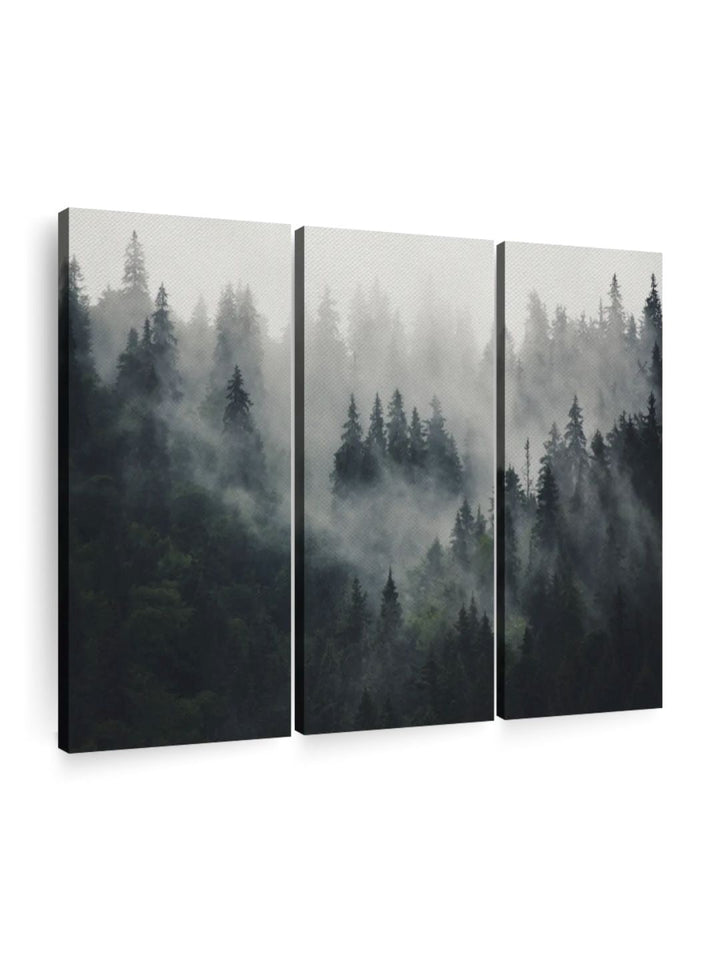 Gallery Set