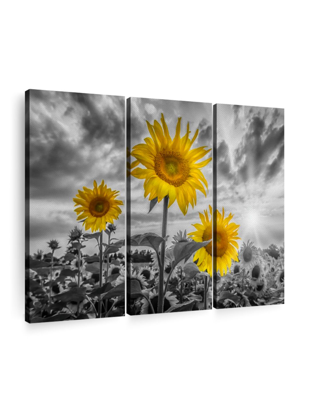 Gallery Set