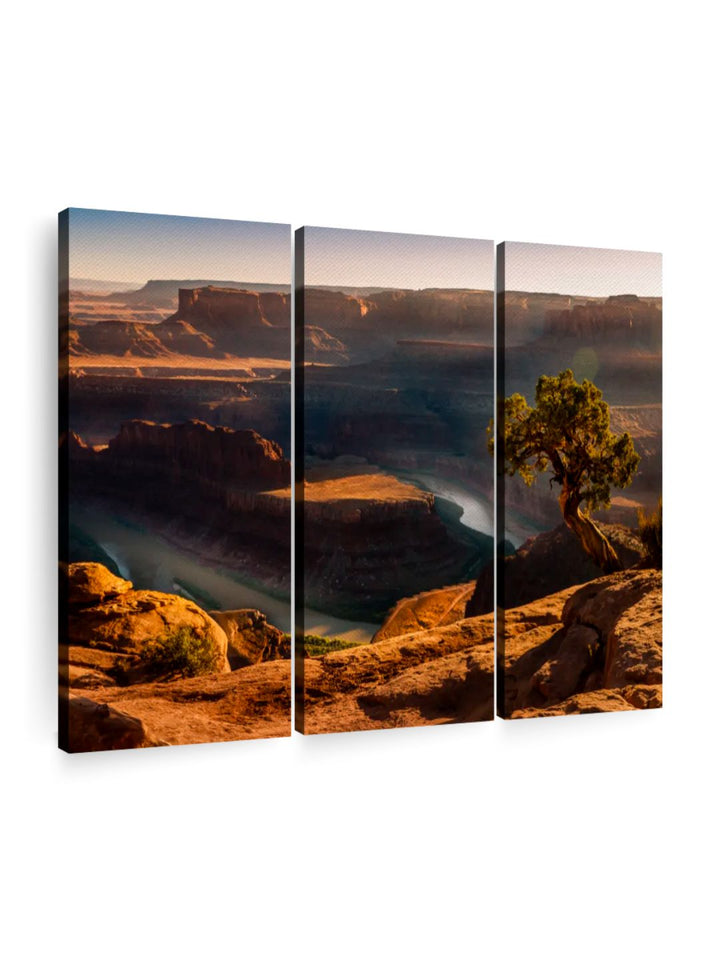 Gallery Set