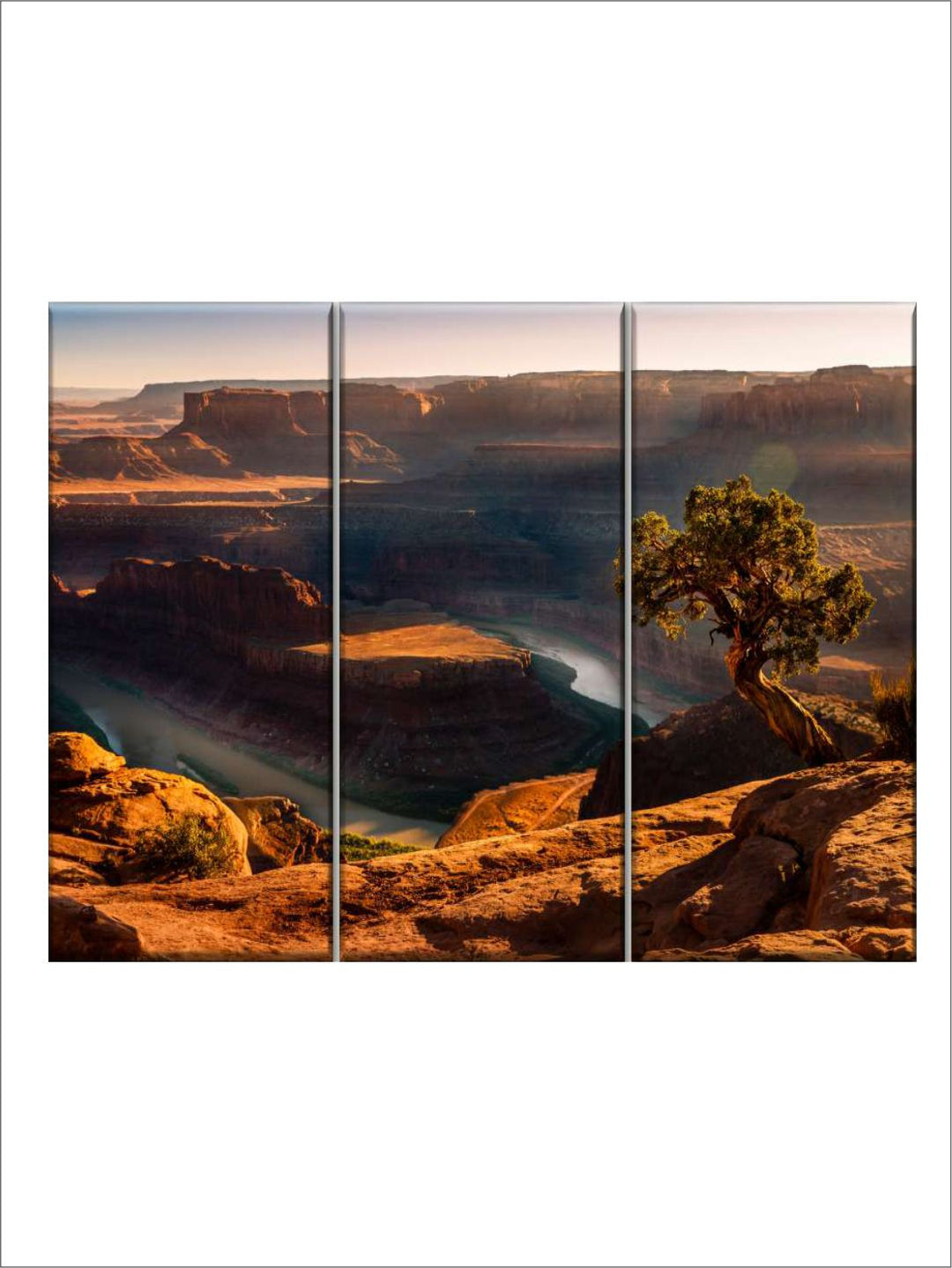 Gallery Set