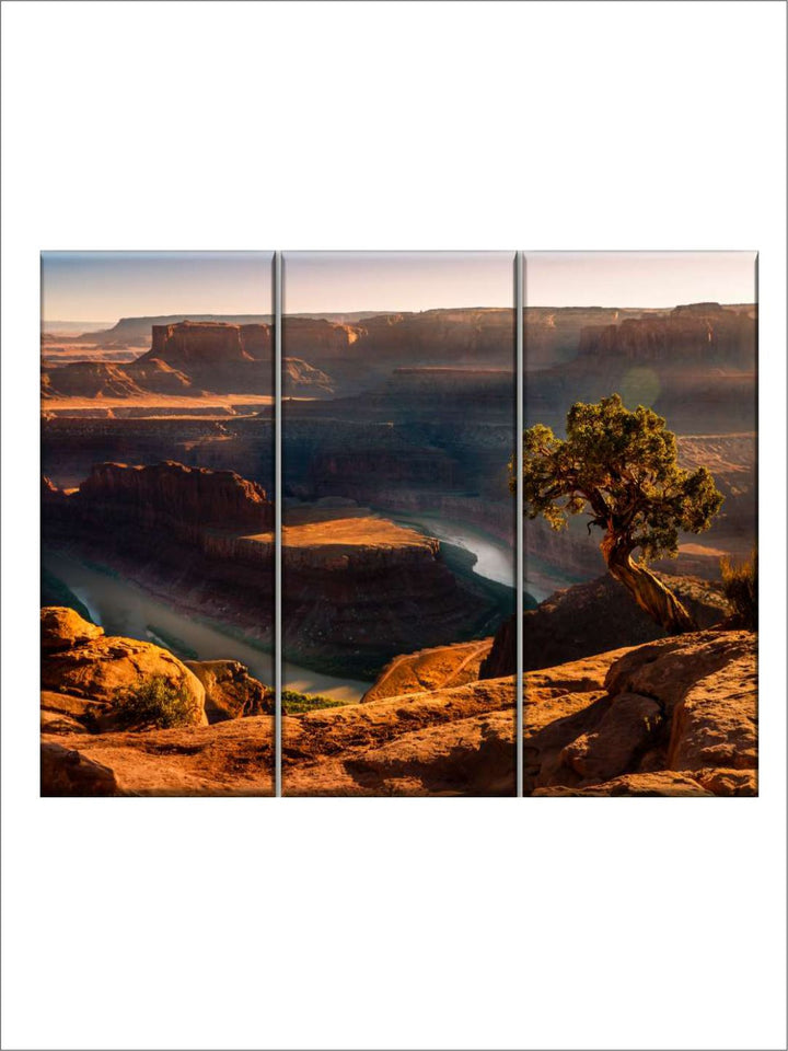 Gallery Set